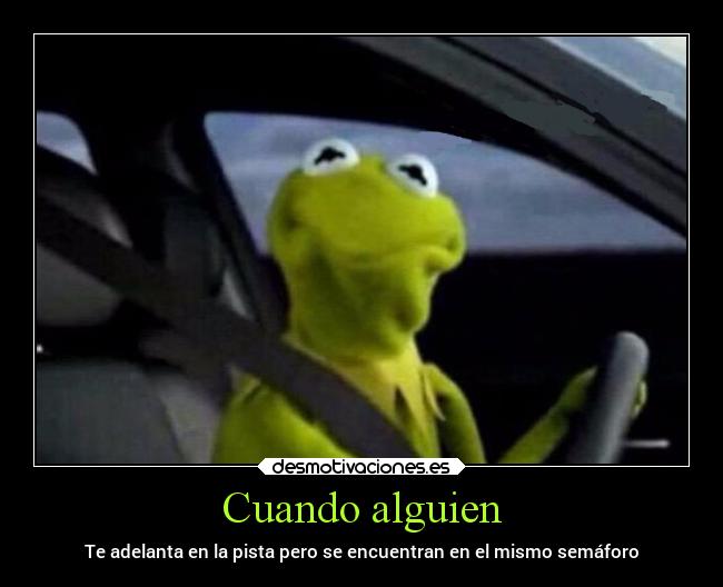 carteles odio amistad rene sapo carro pista manejar carretera desmotivaciones