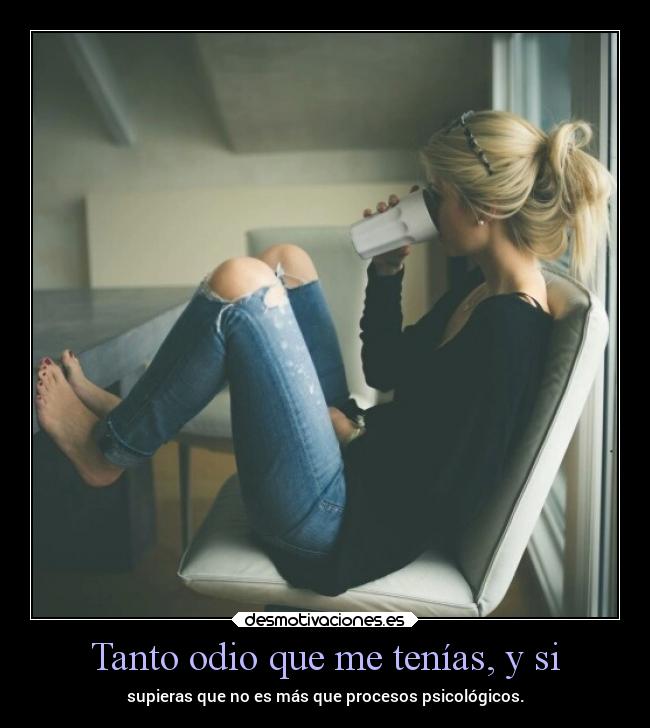 carteles odio ausencia comemeloconchocaleynataenlapunta unicorniosenmicamaconlacasitos entederos desmotivaciones