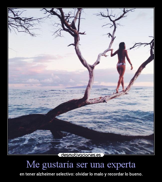 Me gustaría ser una experta -