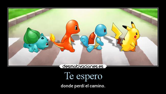 Te espero - donde perdí el camino.