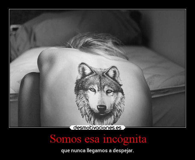 Somos esa incógnita - 