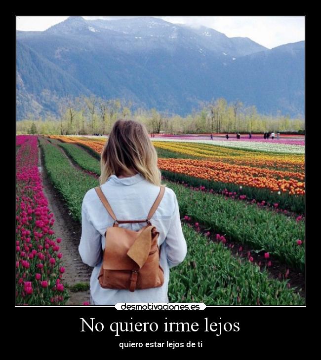 carteles sentimientos desmotivaciones desamor desmotivaciones