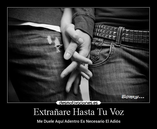 Extrañare Hasta Tu Voz - 