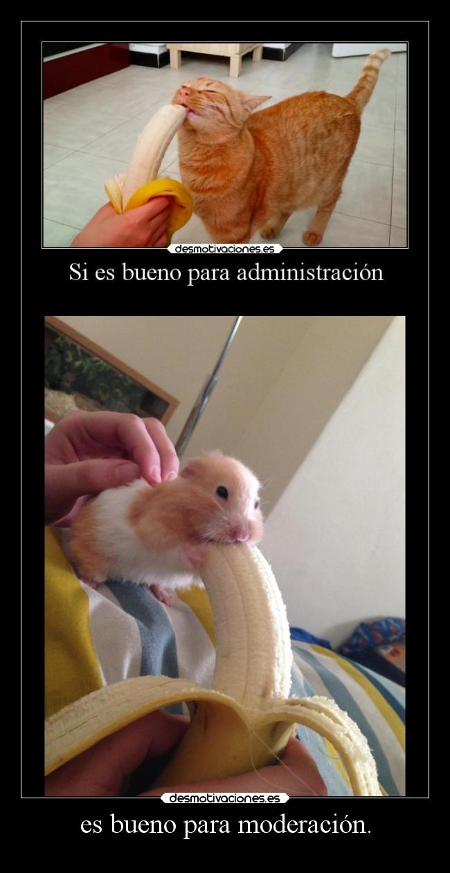 es bueno para moderación. - 