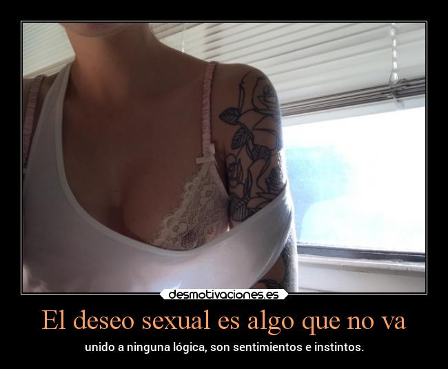 carteles sexo pensamientos desmotivaciones deseos caracter amor desmotivaciones
