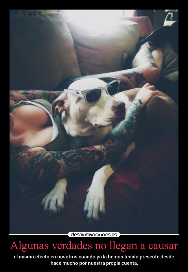 Algunas verdades no llegan a causar - el mismo efecto en nosotros cuando ya la hemos tenido presente desde
hace mucho por nuestra propia cuenta.
