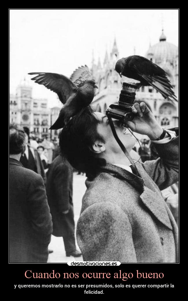 carteles sociedad felicidad desmotivaciones