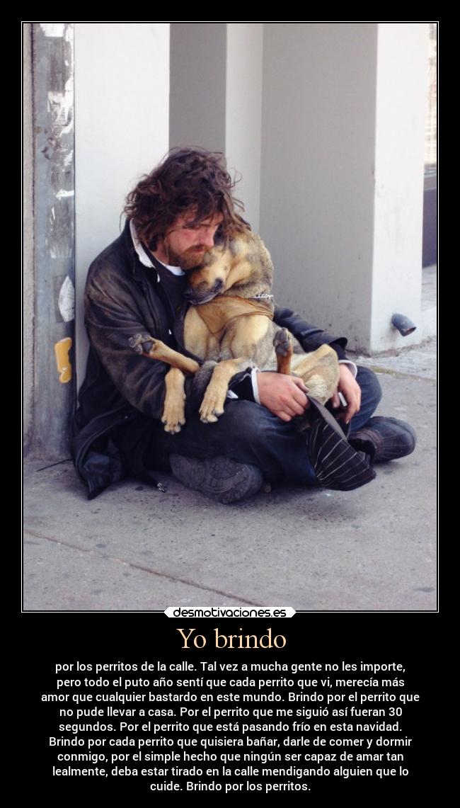 Yo brindo - por los perritos de la calle. Tal vez a mucha gente no les importe,
pero todo el puto año sentí que cada perrito que vi, merecía más
amor que cualquier bastardo en este mundo. Brindo por el perrito que
no pude llevar a casa. Por el perrito que me siguió así fueran 30
segundos. Por el perrito que está pasando frío en esta navidad.
Brindo por cada perrito que quisiera bañar, darle de comer y dormir
conmigo, por el simple hecho que ningún ser capaz de amar tan
lealmente, deba estar tirado en la calle mendigando alguien que lo
cuide. Brindo por los perritos.