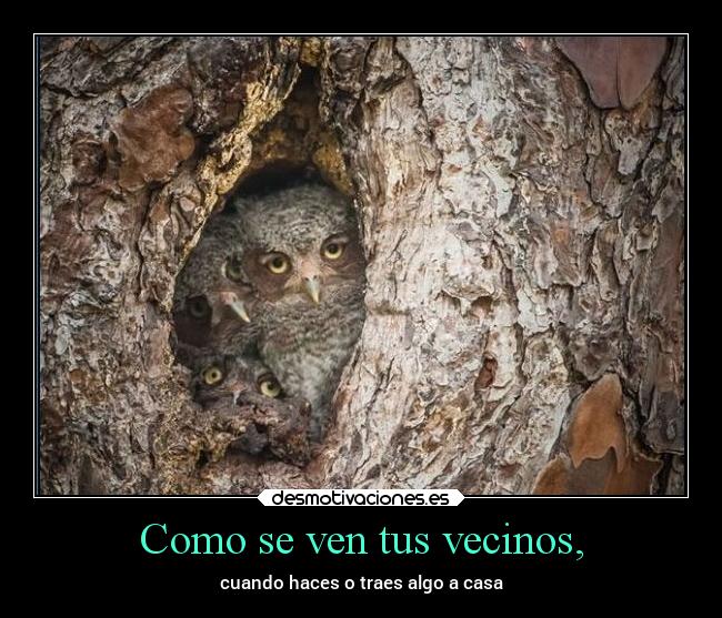 Como se ven tus vecinos, - cuando haces o traes algo a casa