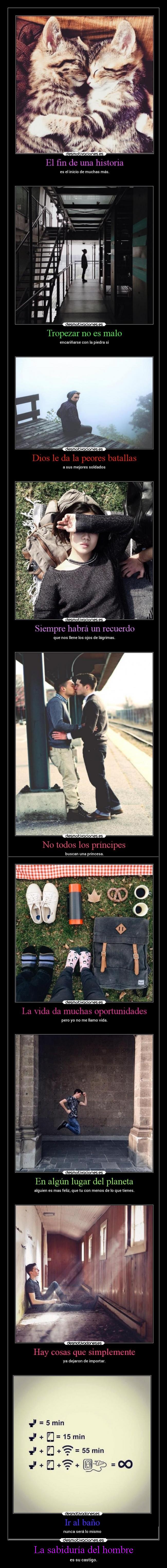 La sabiduría del hombre - es su castigo.