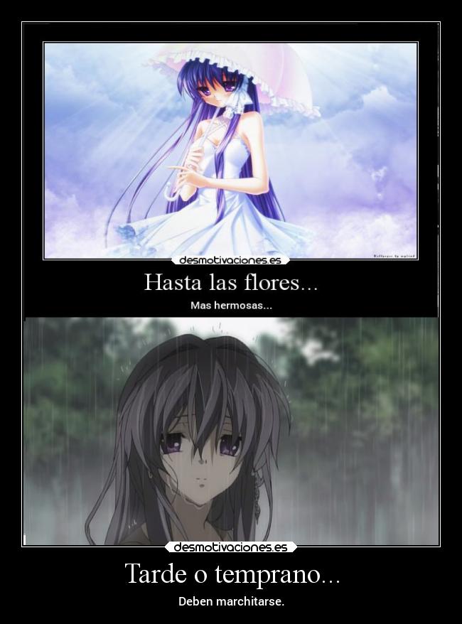 Tarde o temprano... - Deben marchitarse.