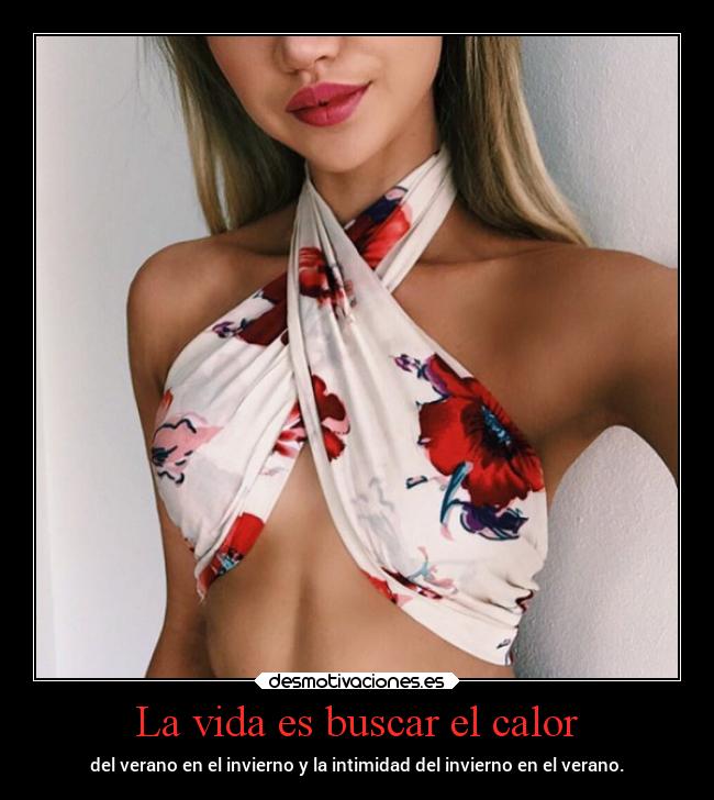La vida es buscar el calor - 