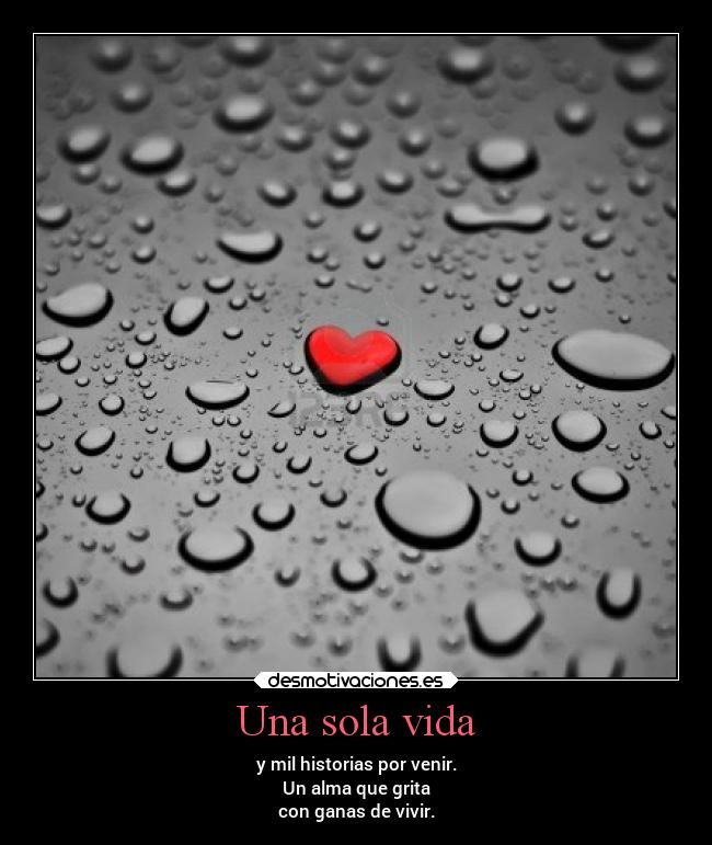 Una sola vida -