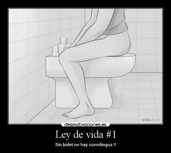 carteles vida alma leydevida verdades higieneintima dodot lavemonos desmotivaciones