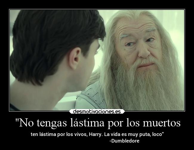 No tengas lástima por los muertos - ten lástima por los vivos, Harry. La vida es muy puta, loco
-Dumbledore