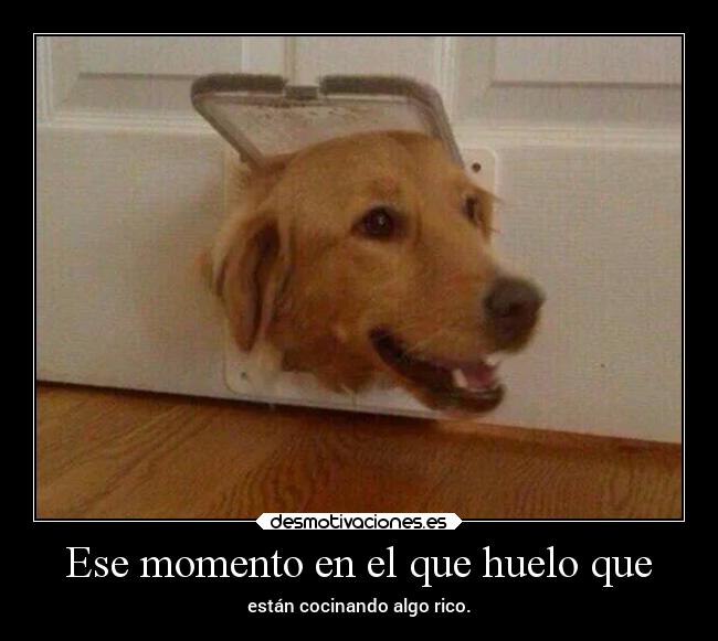 Ese momento en el que huelo que -