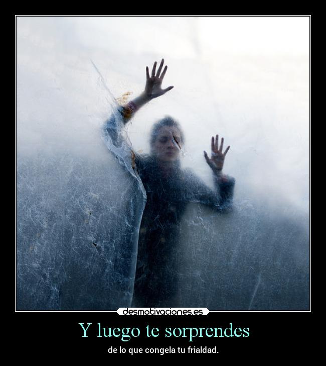 carteles vida consecuencias desmotivaciones