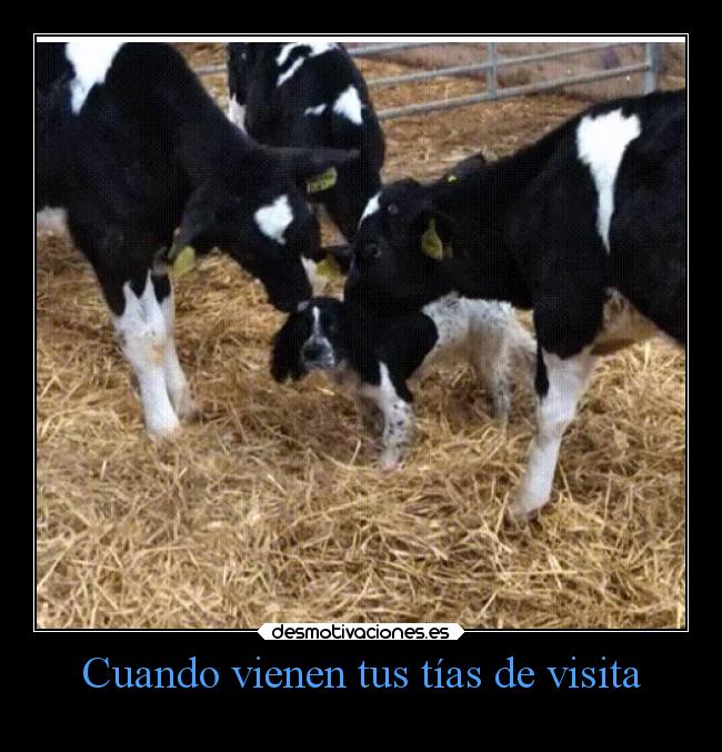 Cuando vienen tus tías de visita -