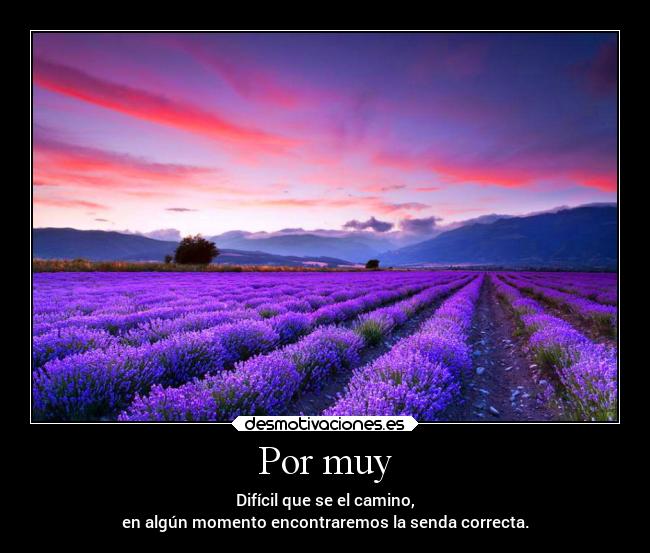 Por muy - Difícil que se el camino,
en algún momento encontraremos la senda correcta.