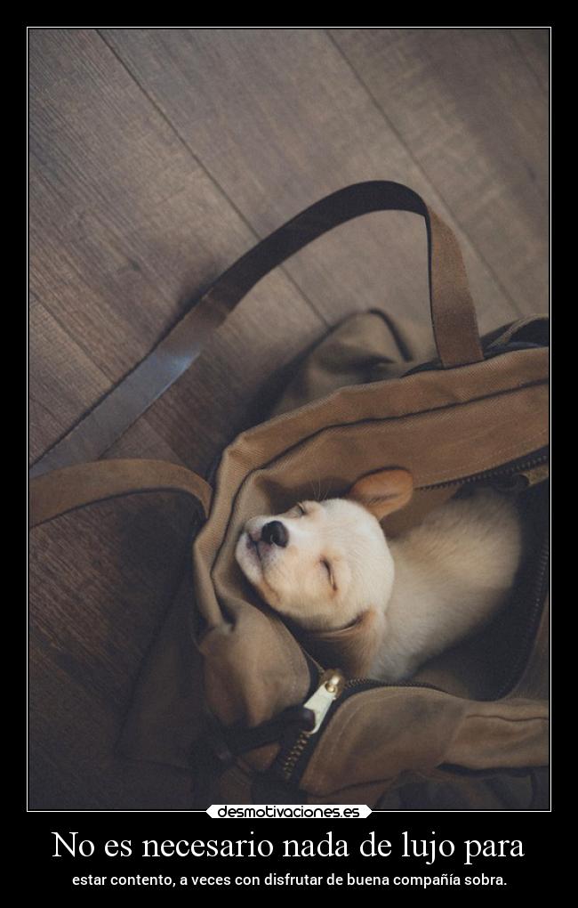 No es necesario nada de lujo para - estar contento, a veces con disfrutar de buena compañía sobra.