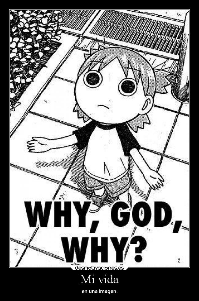 Mi vida - en una imagen.