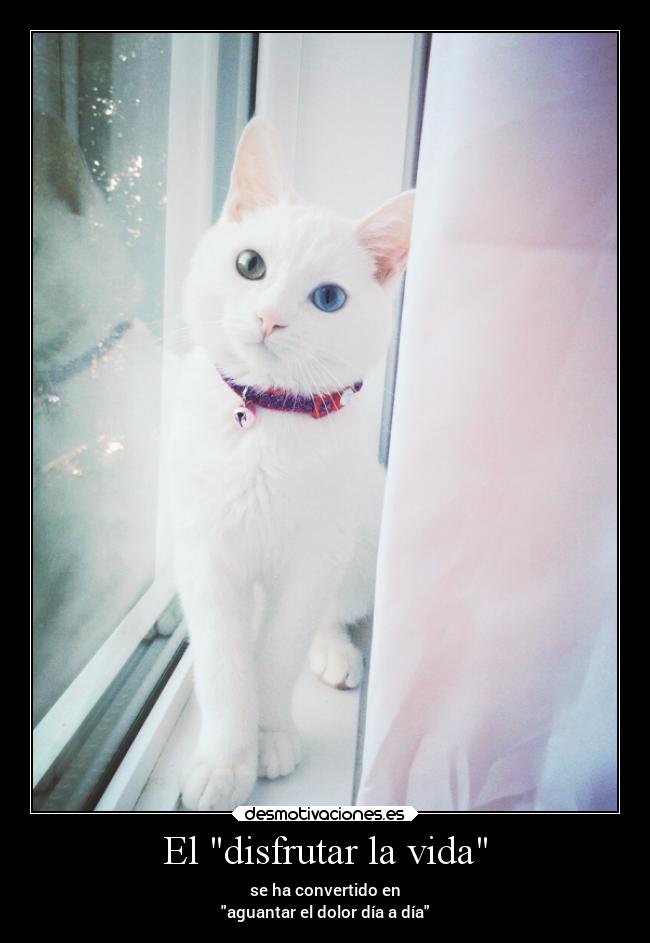 El disfrutar la vida - se ha convertido en
aguantar el dolor día a día