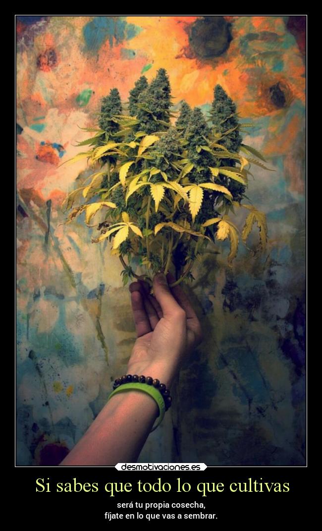 Si sabes que todo lo que cultivas -