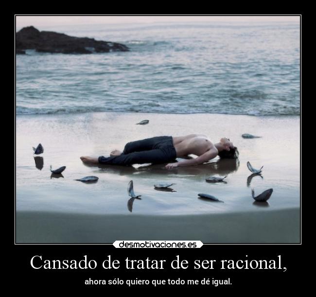 Cansado de tratar de ser racional, -