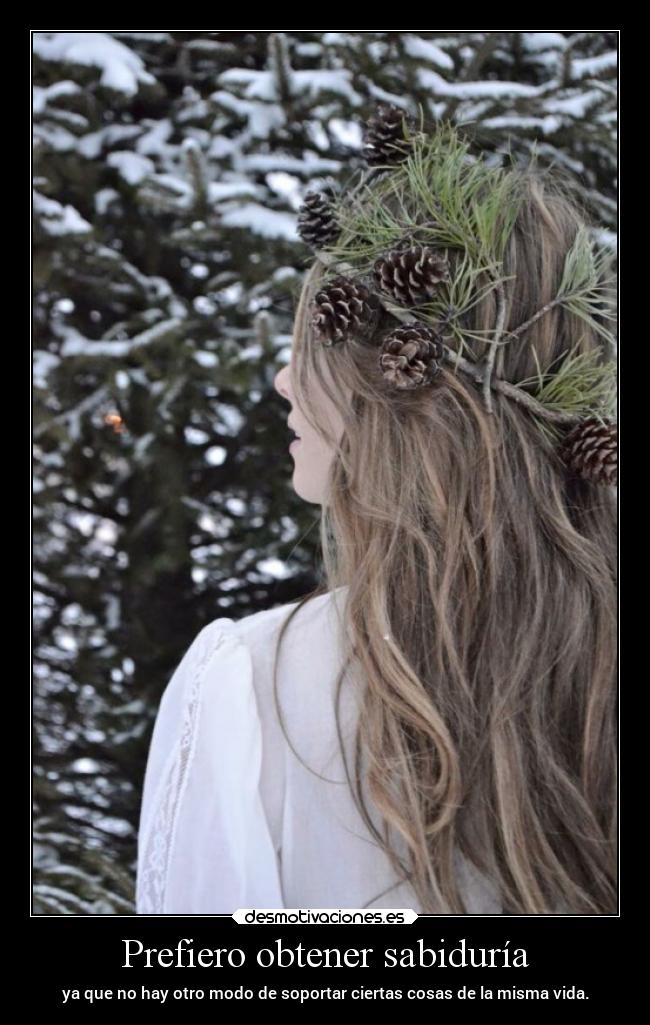 Prefiero obtener sabiduría -