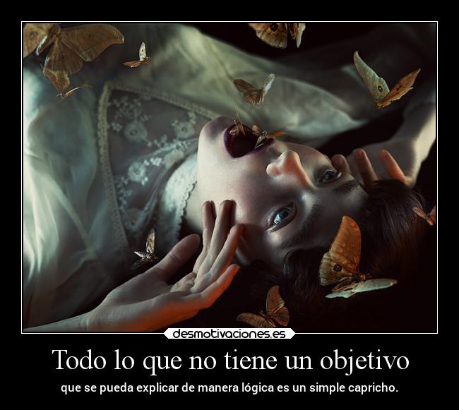 Todo lo que no tiene un objetivo - 