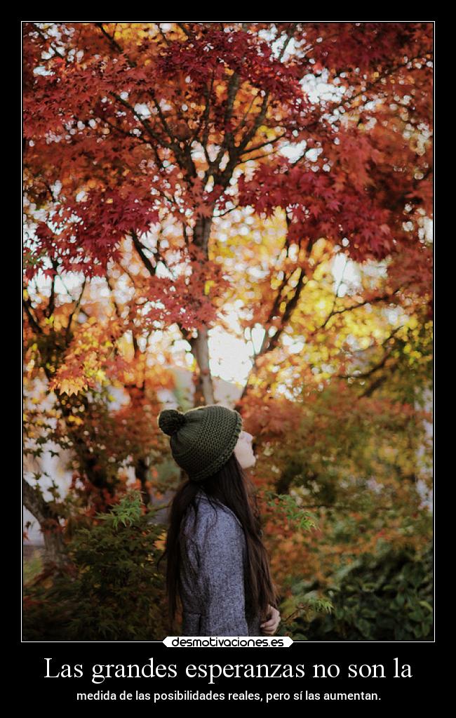 Las grandes esperanzas no son la -