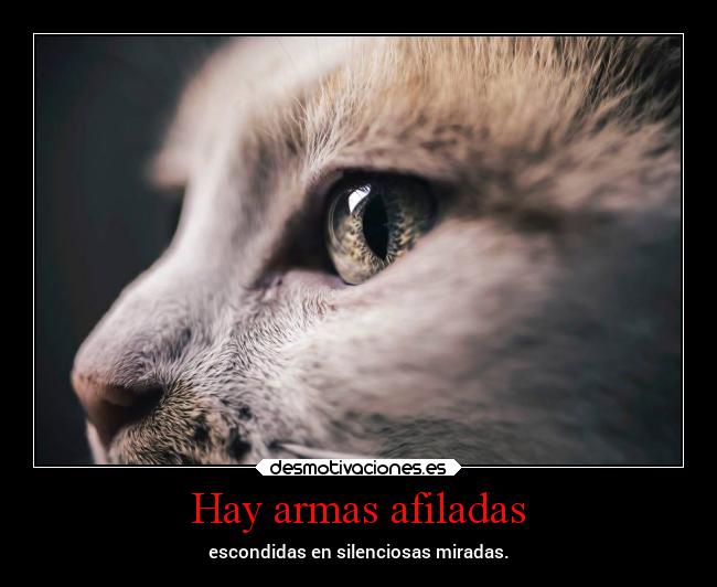 Hay armas afiladas - escondidas en silenciosas miradas.