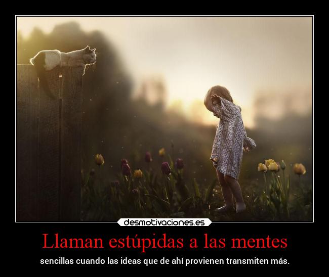 carteles vida lleganmasalcorazon desmotivaciones