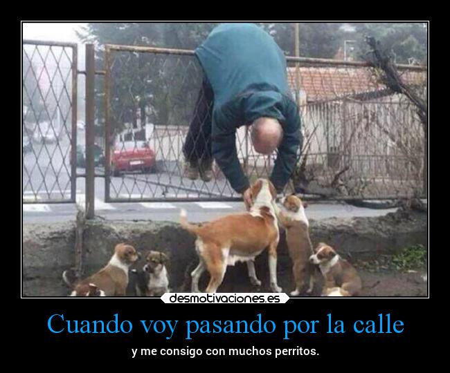 Cuando voy pasando por la calle -