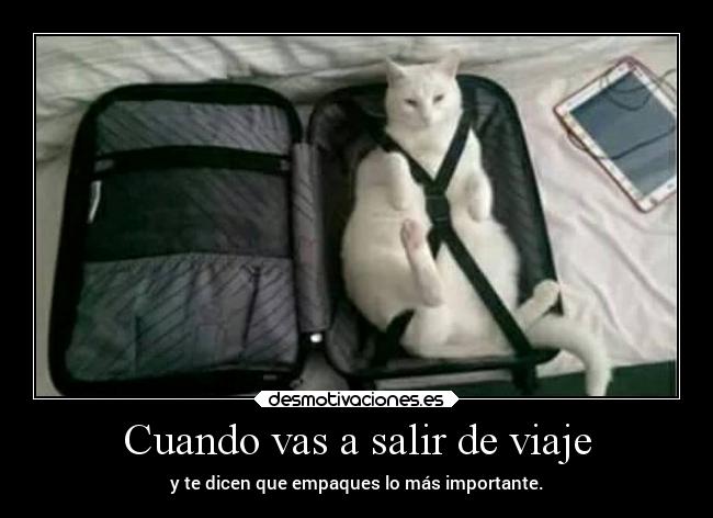 Cuando vas a salir de viaje -