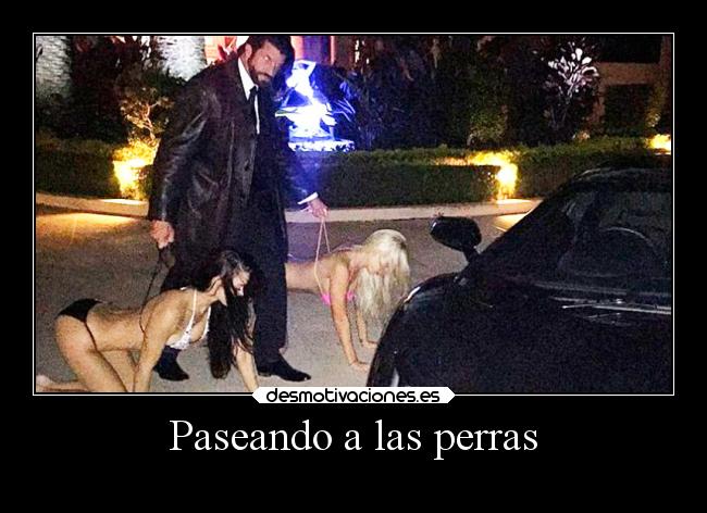 Paseando a las perras -