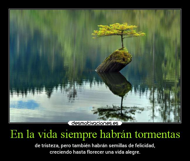 En la vida siempre habrán tormentas - de tristeza, pero también habrán semillas de felicidad,
creciendo hasta florecer una vida alegre.