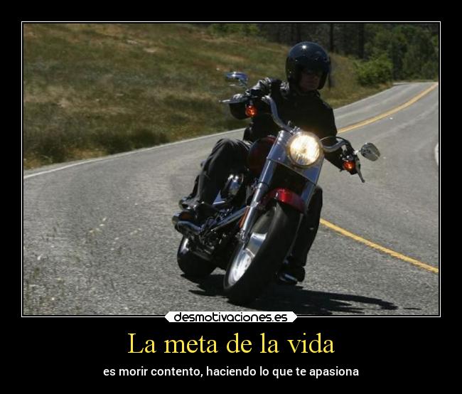 La meta de la vida - 