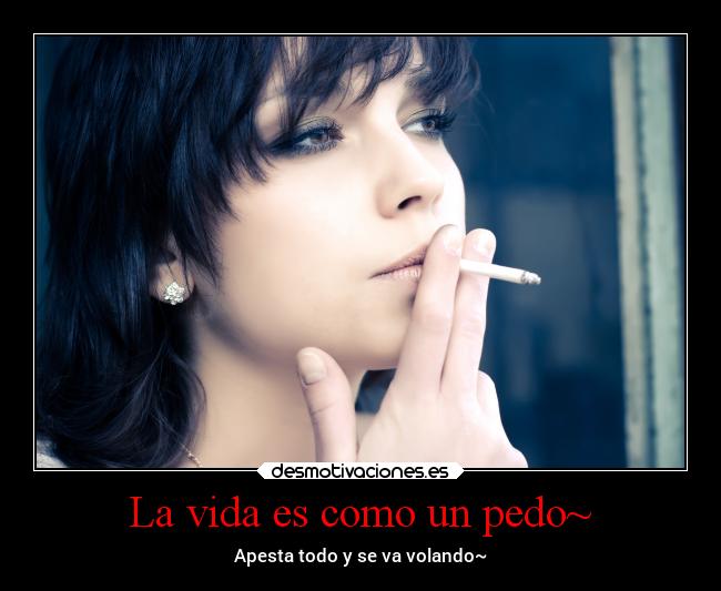 carteles vida mundo sociedad vida pedos apesta volar luzkira desmotivaciones