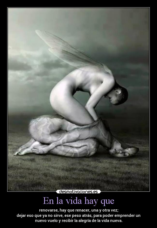 En la vida hay que -