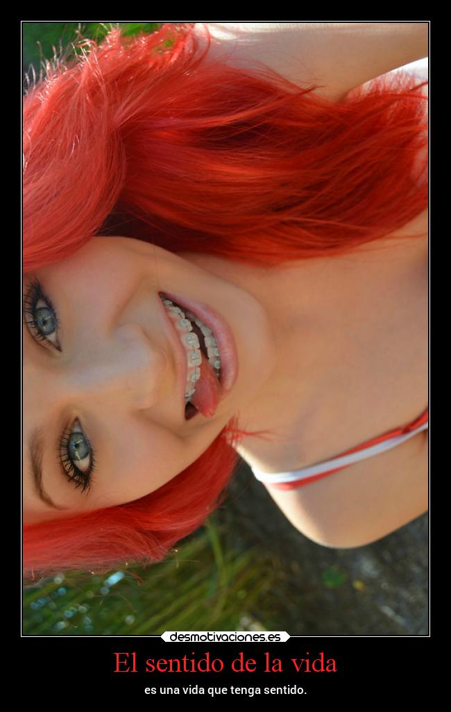 El sentido de la vida - es una vida que tenga sentido.