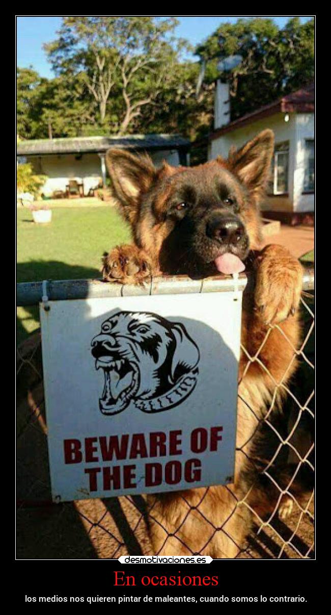 En ocasiones - los medios nos quieren pintar de maleantes, cuando somos lo contrario.