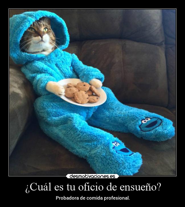 ¿Cuál es tu oficio de ensueño? - 