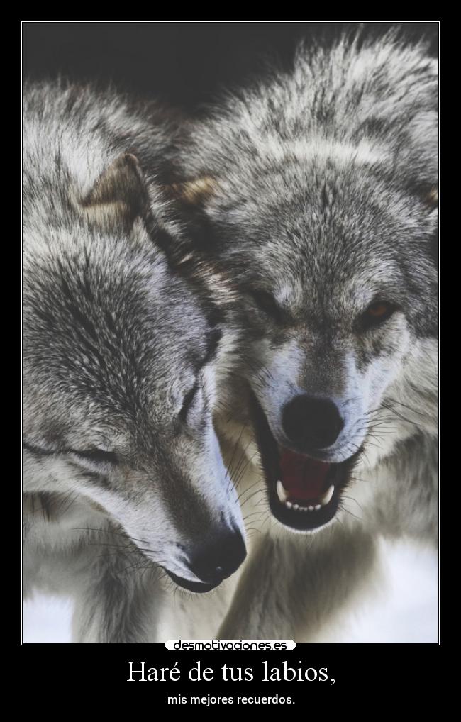 Haré de tus labios, - 