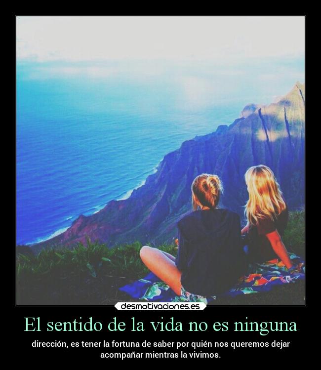 carteles vida vida sentido direccion fortuna clanpatosos rilacs desmotivaciones