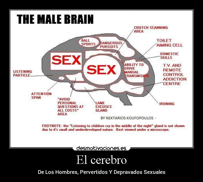 El cerebro - De Los Hombres, Pervertidos Y Depravados Sexuales