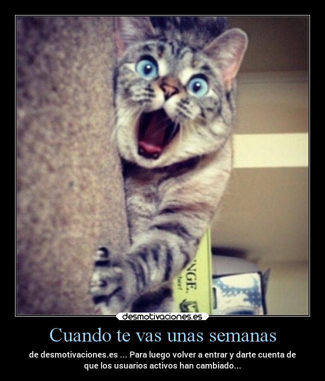 Cuando te vas unas semanas - 