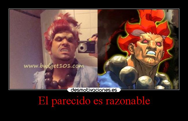 El parecido es razonable -