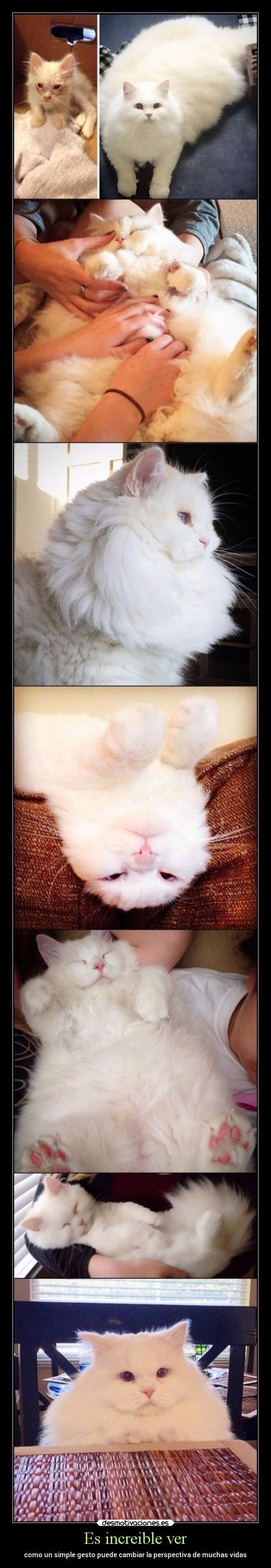 Es increible ver - como un simple gesto puede cambiar la perspectiva de muchas vidas