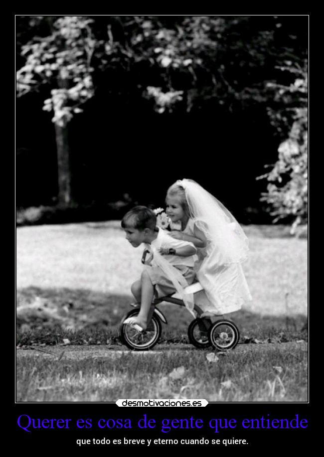 Querer es cosa de gente que entiende - 